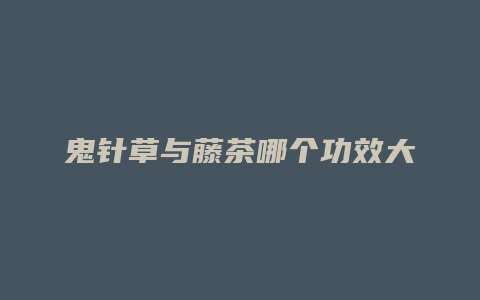 鬼针草与藤茶哪个功效大