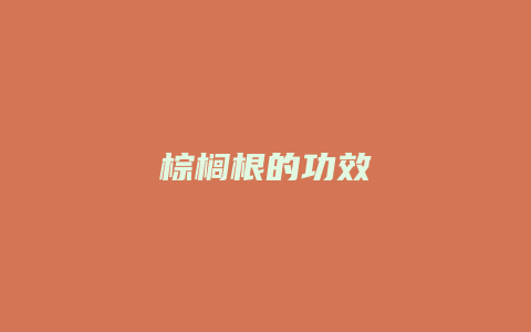 棕榈根的功效