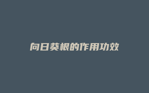 向日葵根的作用功效