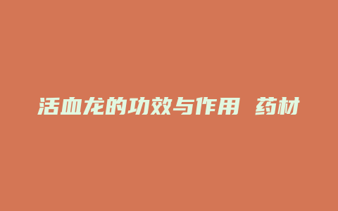 活血龙的功效与作用 药材