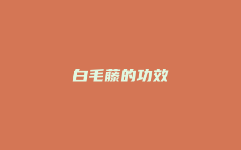 白毛藤的功效