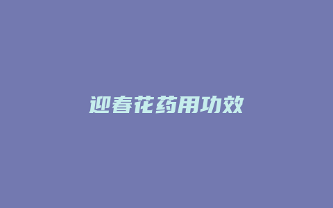 迎春花药用功效
