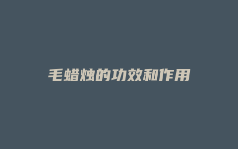 毛蜡烛的功效和作用