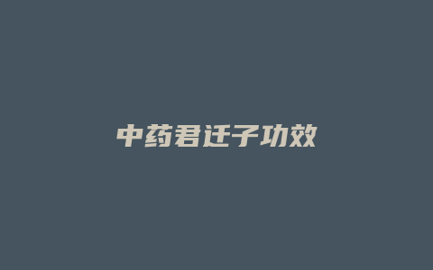 中药君迁子功效