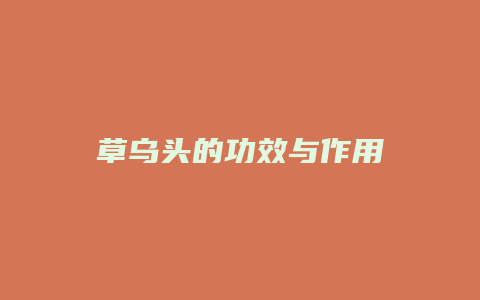 草乌头的功效与作用