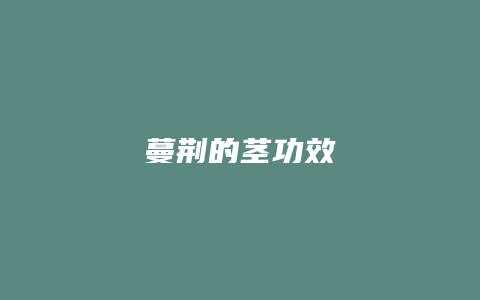 蔓荆的茎功效