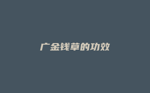 广金钱草的功效