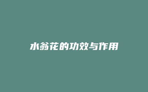 水翁花的功效与作用