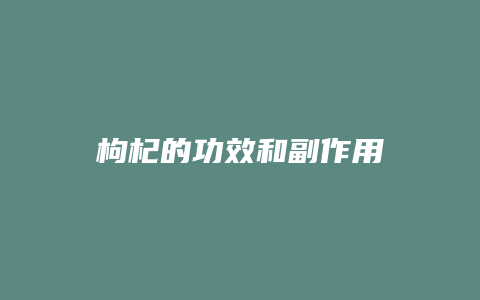 枸杞的功效和副作用