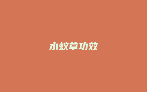 水蚁草功效