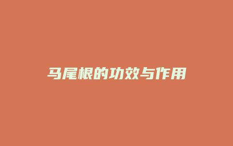 马尾根的功效与作用