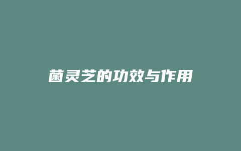 菌灵芝的功效与作用