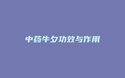 中药牛夕功效与作用