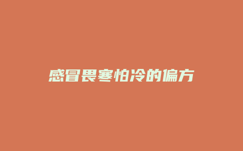 感冒畏寒怕冷的偏方