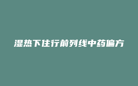 湿热下住行前列线中药偏方